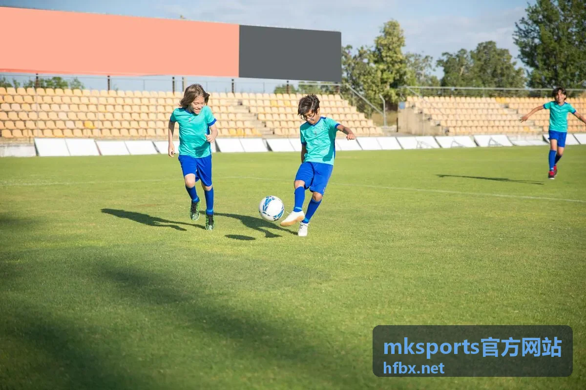 mksports官方网站会员专属通道与服务展示