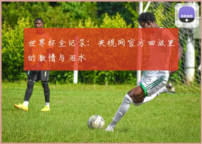 世界杯全记录：央视网官方回放里的激情与泪水