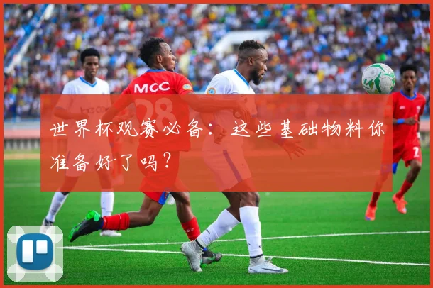 世界杯观赛必备：这些基础物料你准备好了吗？