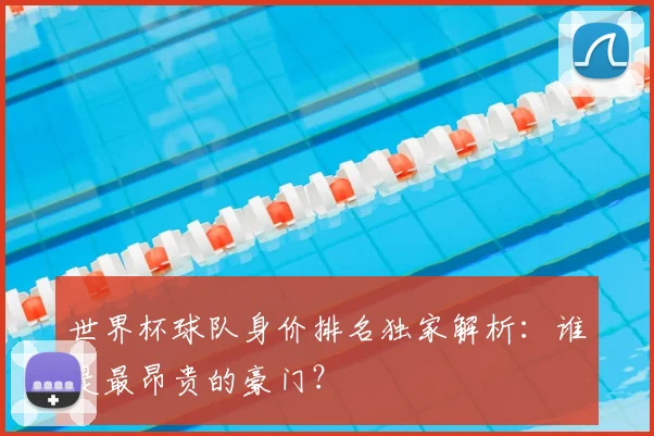 世界杯球队身价排名独家解析：谁是最昂贵的豪门？